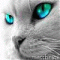  Avatar   SW1GGW
