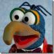  avatar   Gonzo